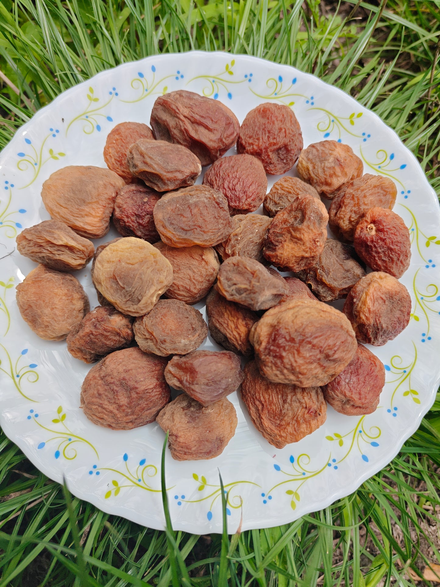 dried apricots