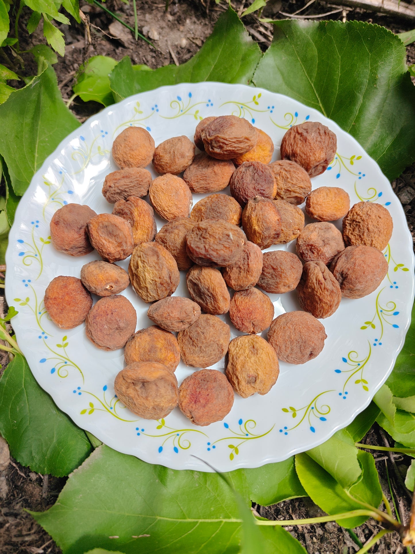 organic apricots dried