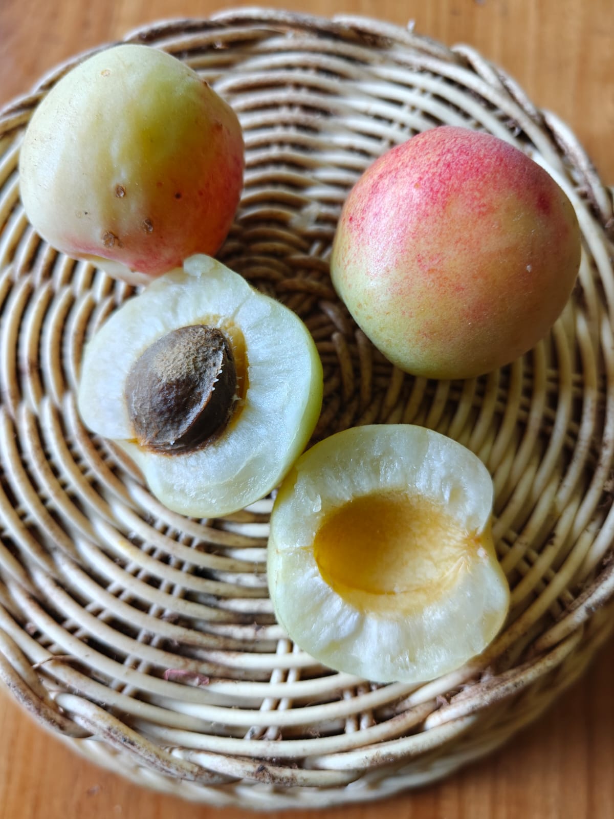 apricots