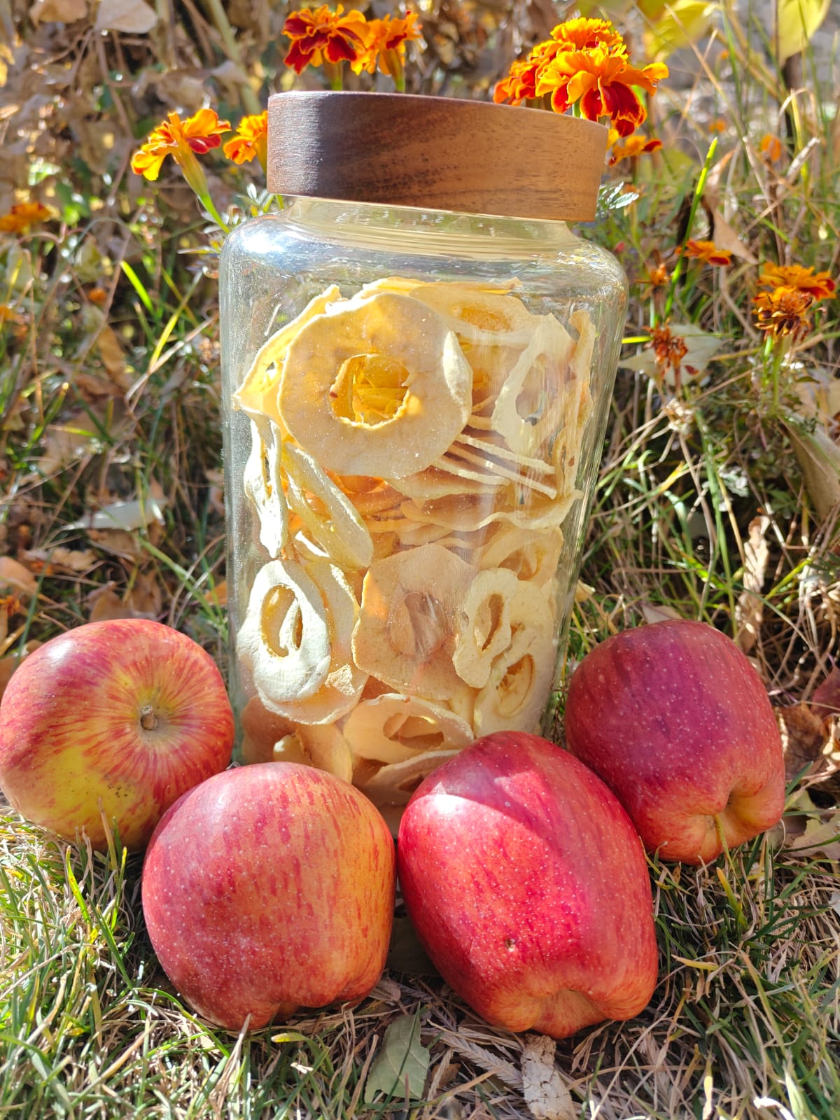 dry apple chips