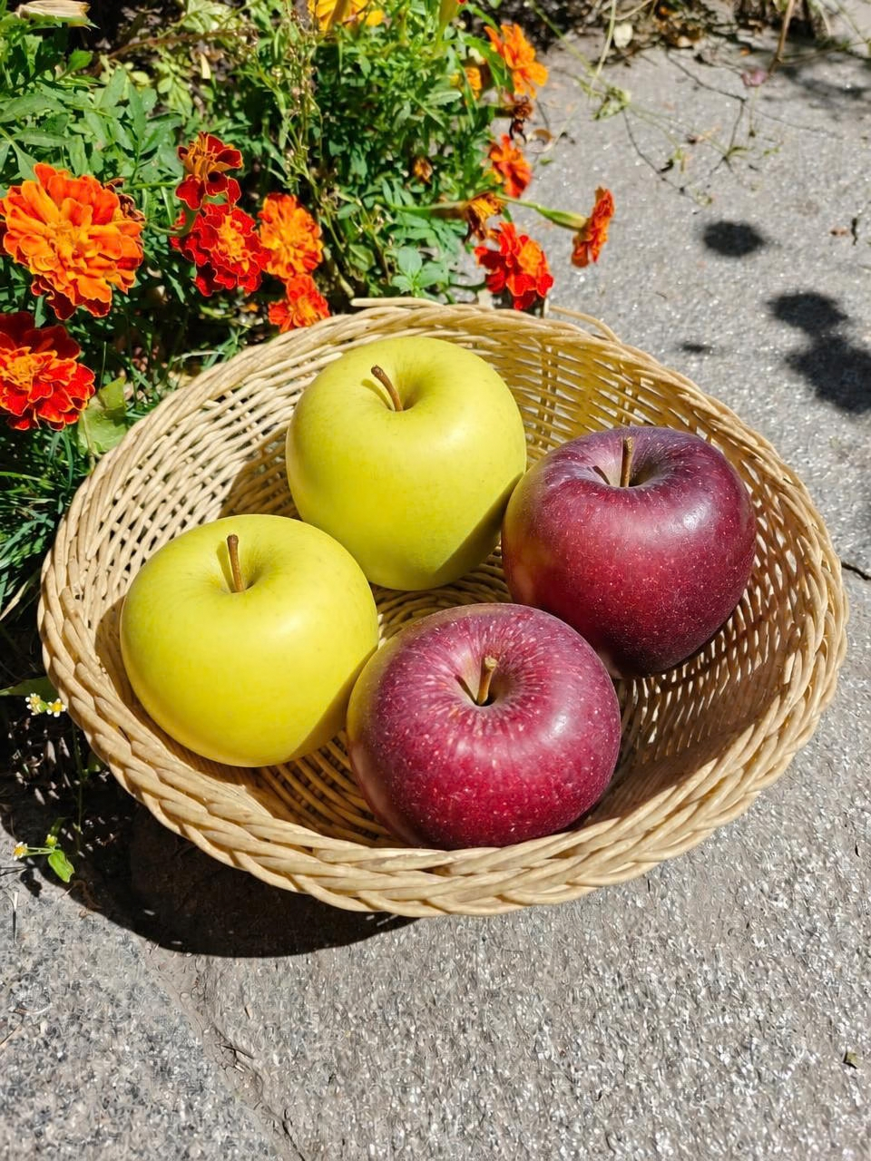 Apples Mix Box | Golden and Red Delicious Box [Pre-Book Now]
