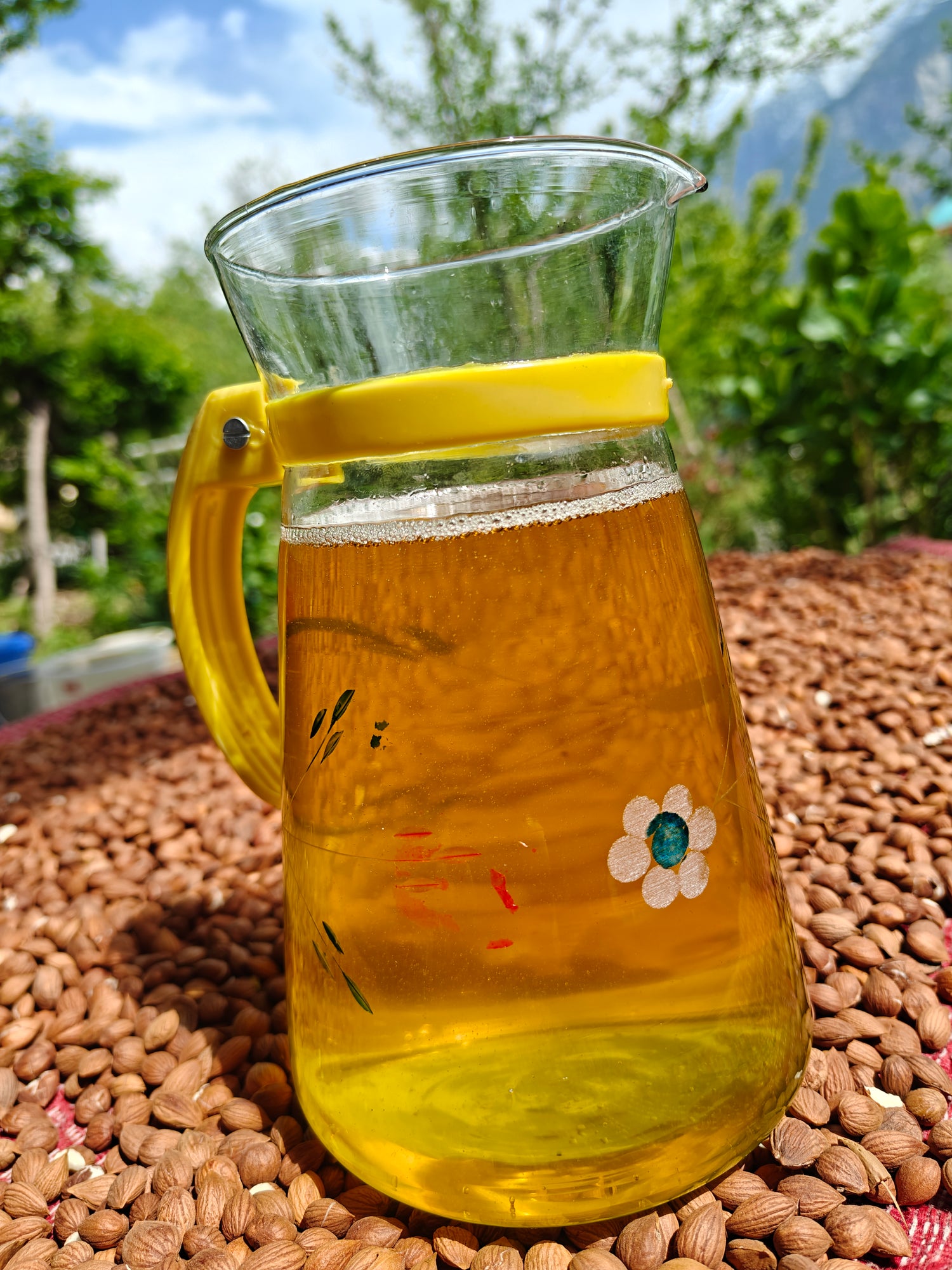 Apricot Kernel Oil