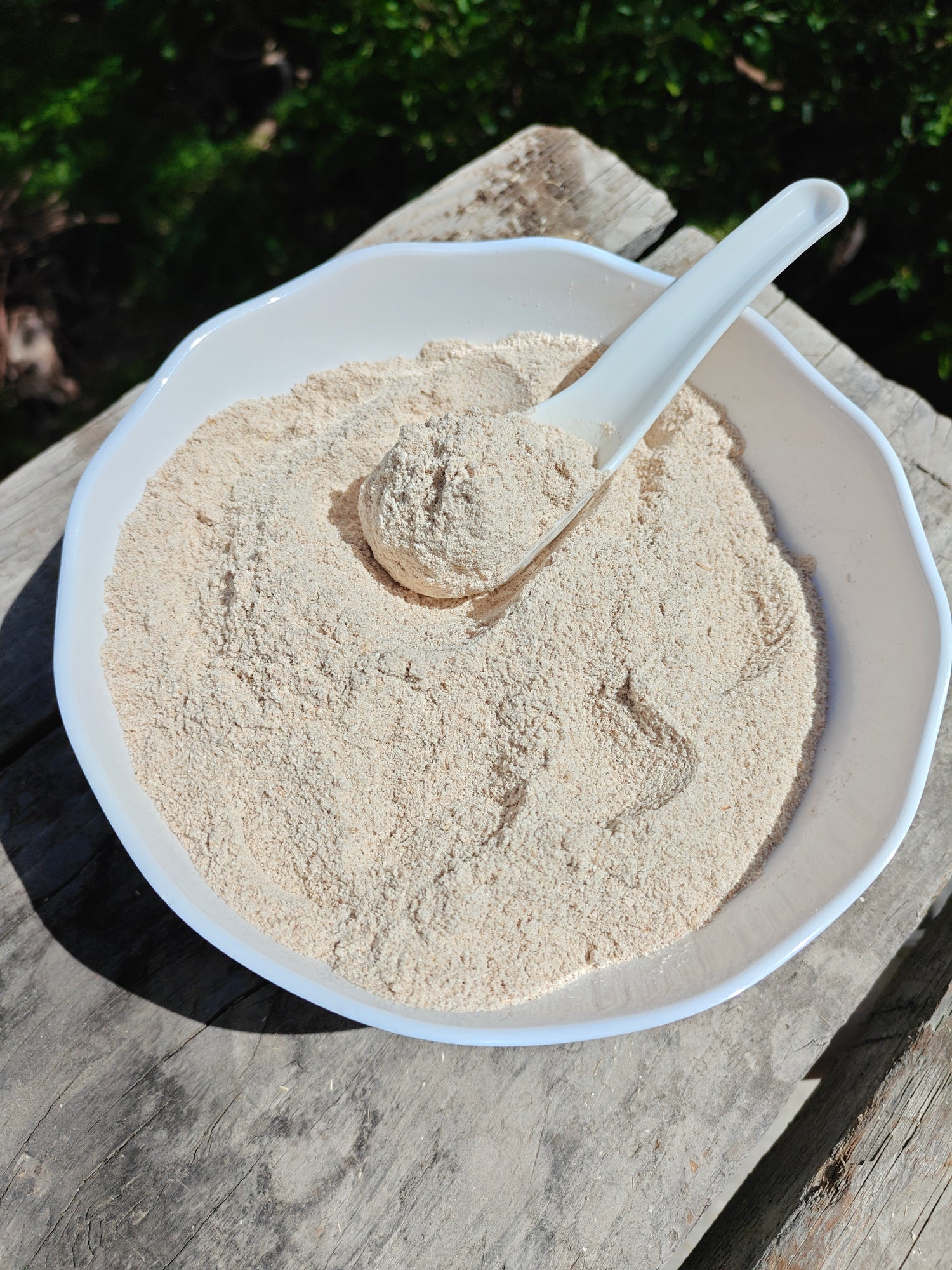 Pahadi Jau Sattu