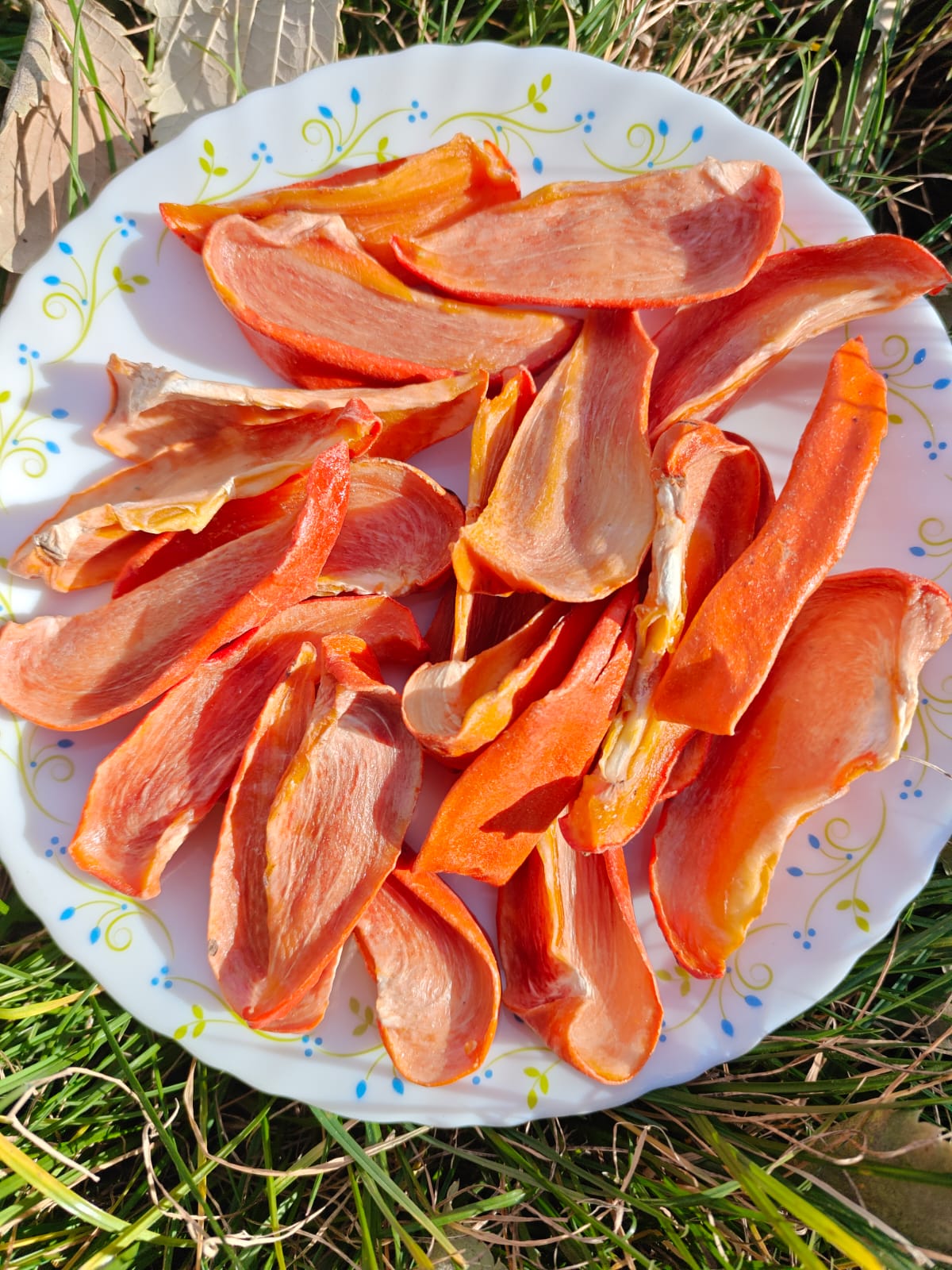dried persimmon