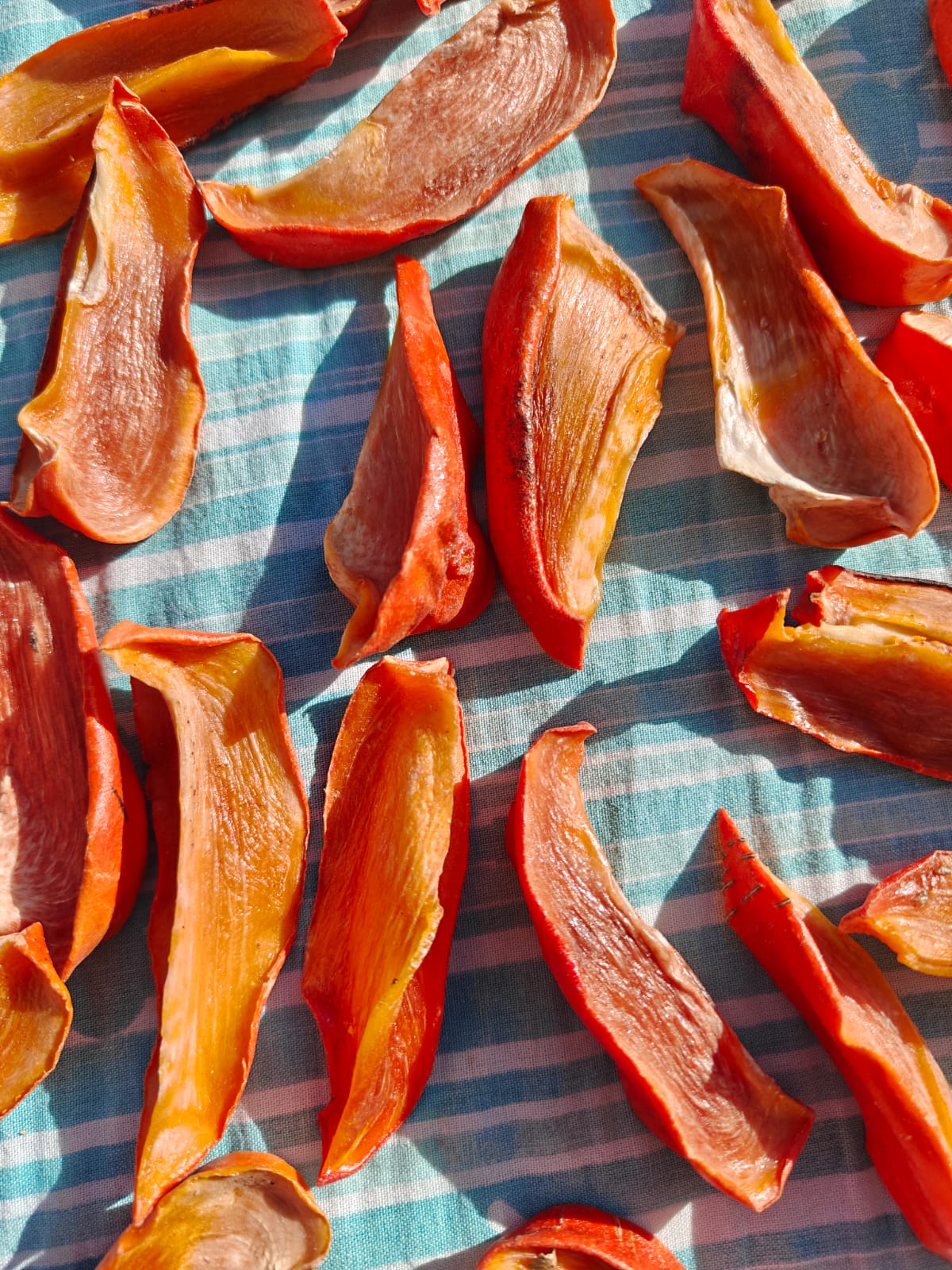 sun-dried persimmon