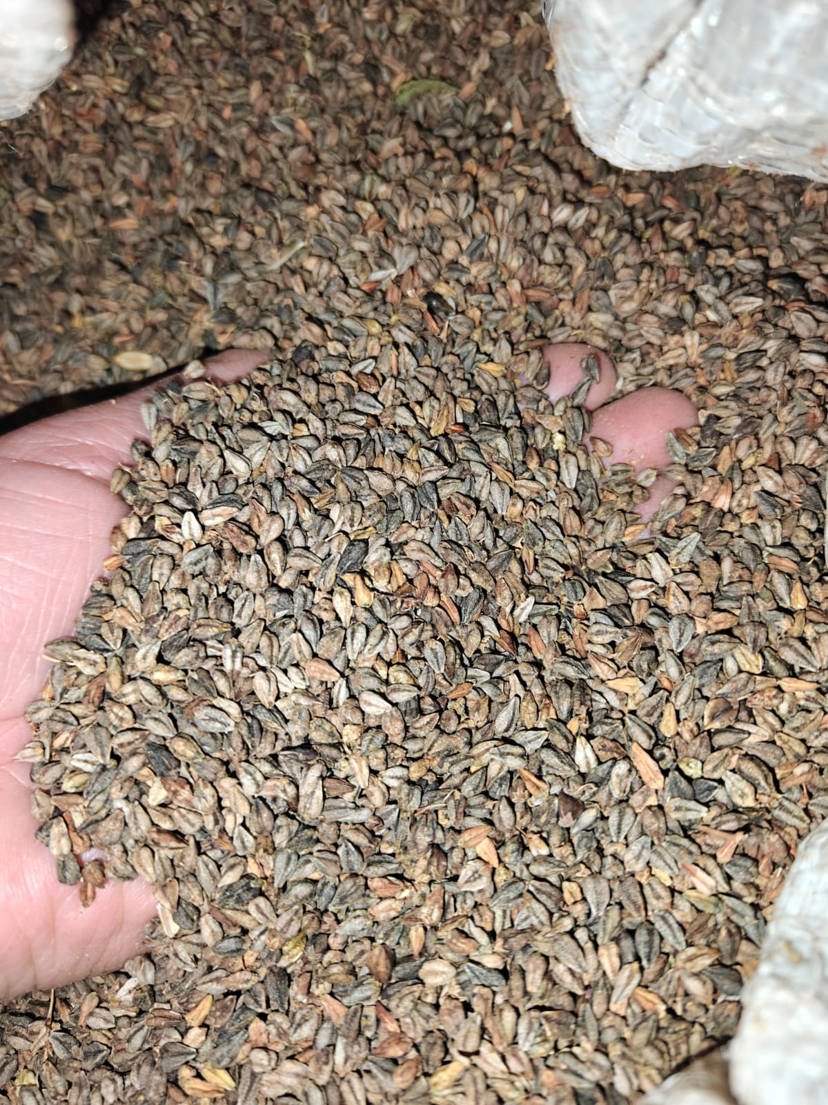 Organic Buckwheat Flour | Pahadi Buckwheat Atta