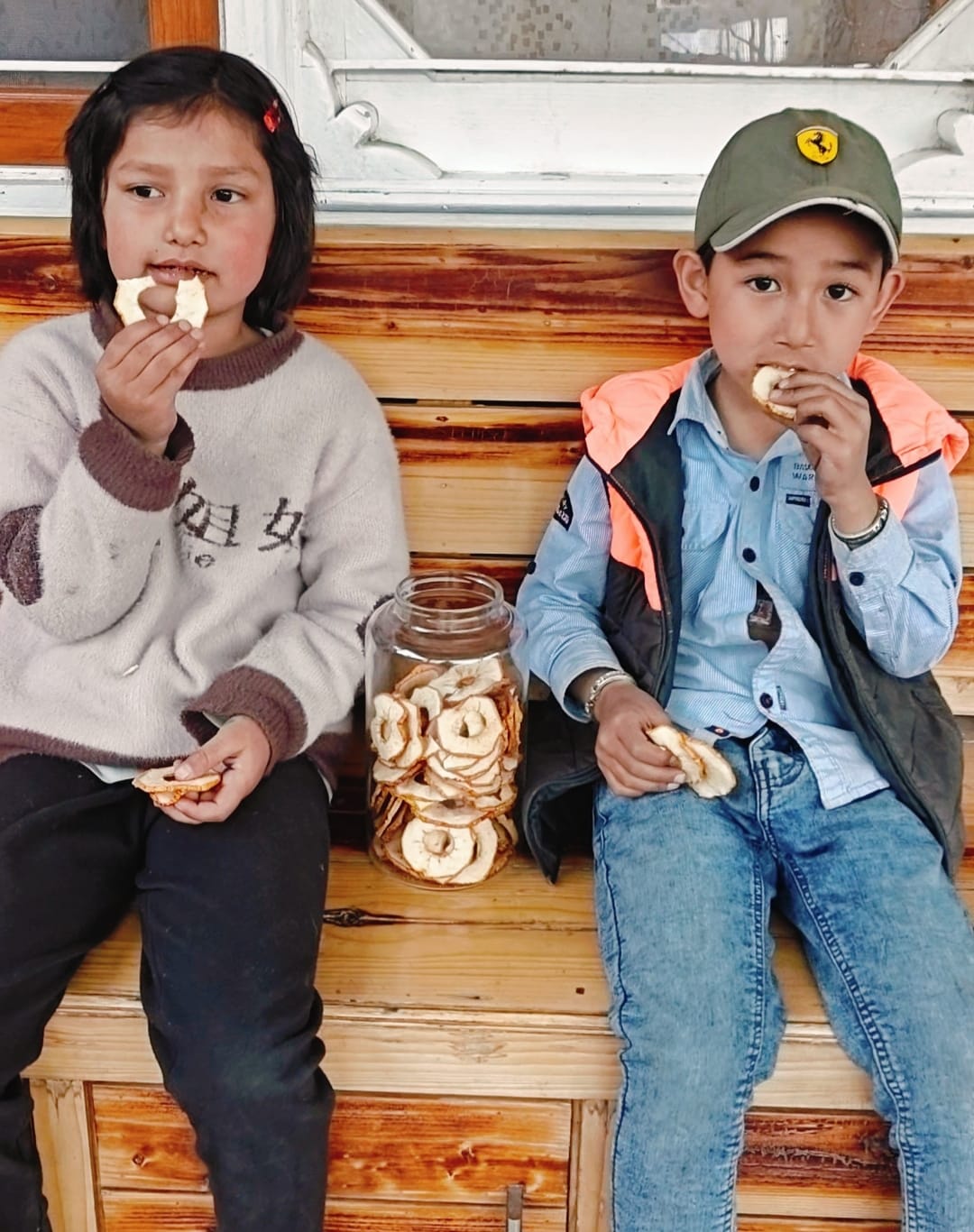 machine-dehydrated-apples