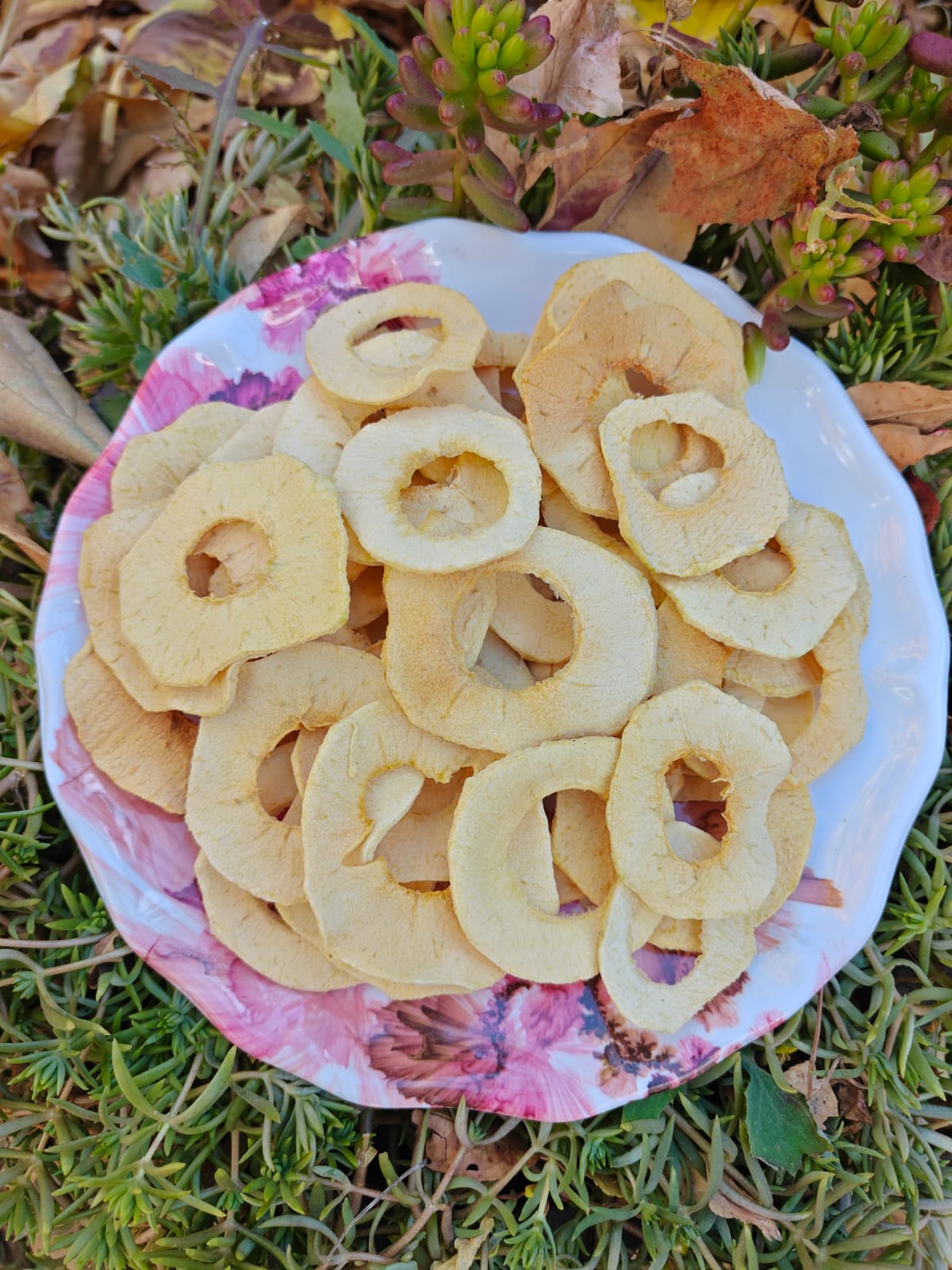 Dried apple slices