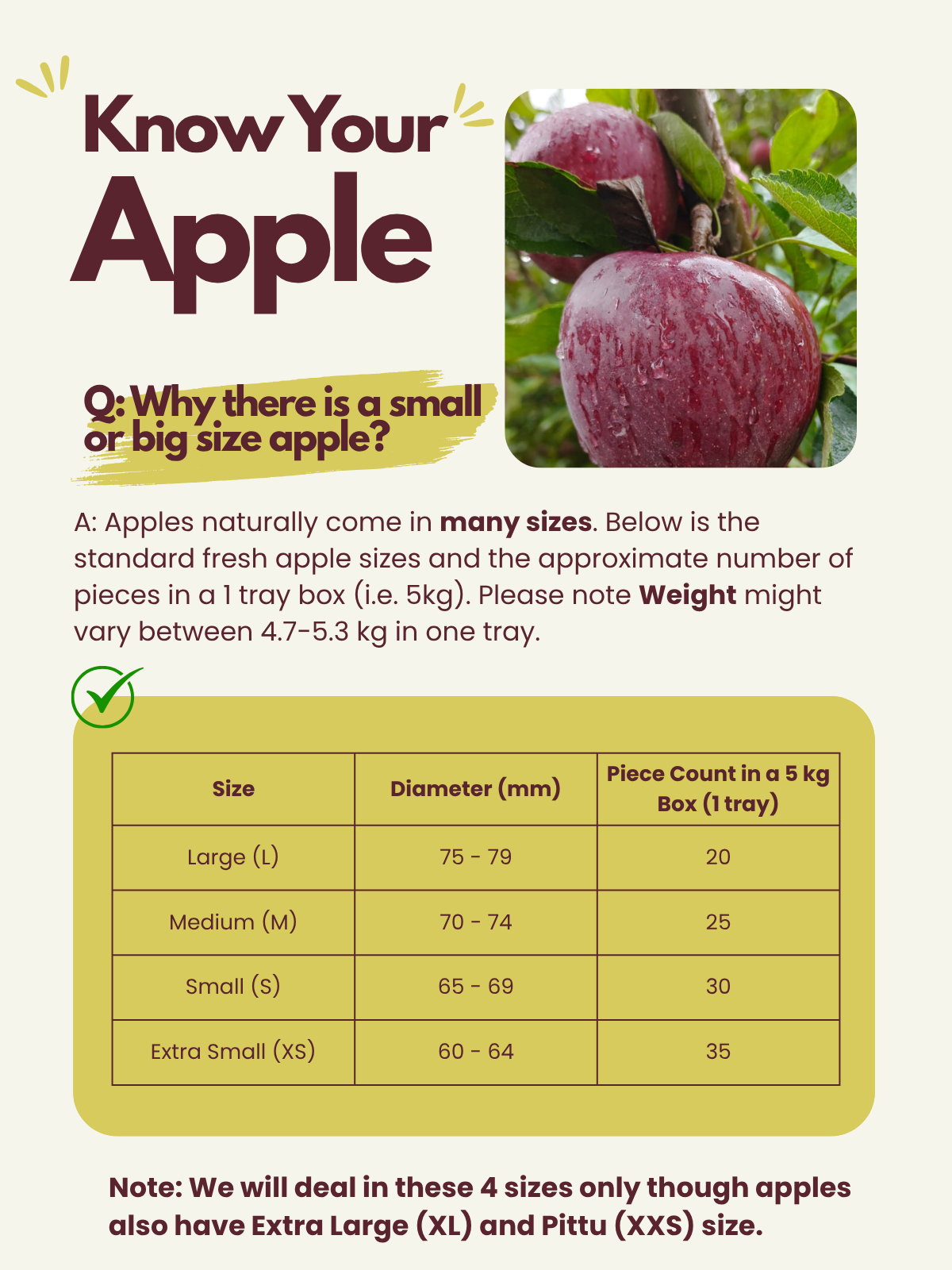 fresh apples informational size guide
