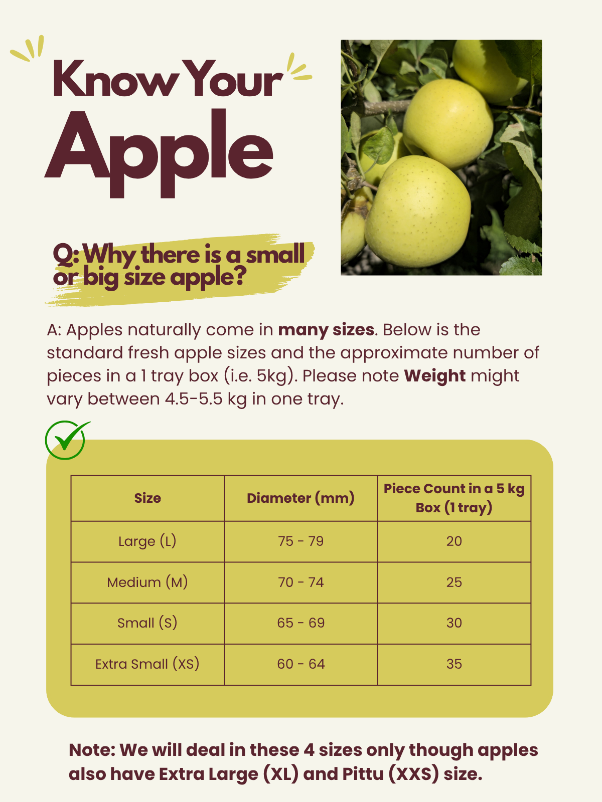 Kinnaur Golden Delicious Apples | Hand-Sorted [Pre-Book Now]