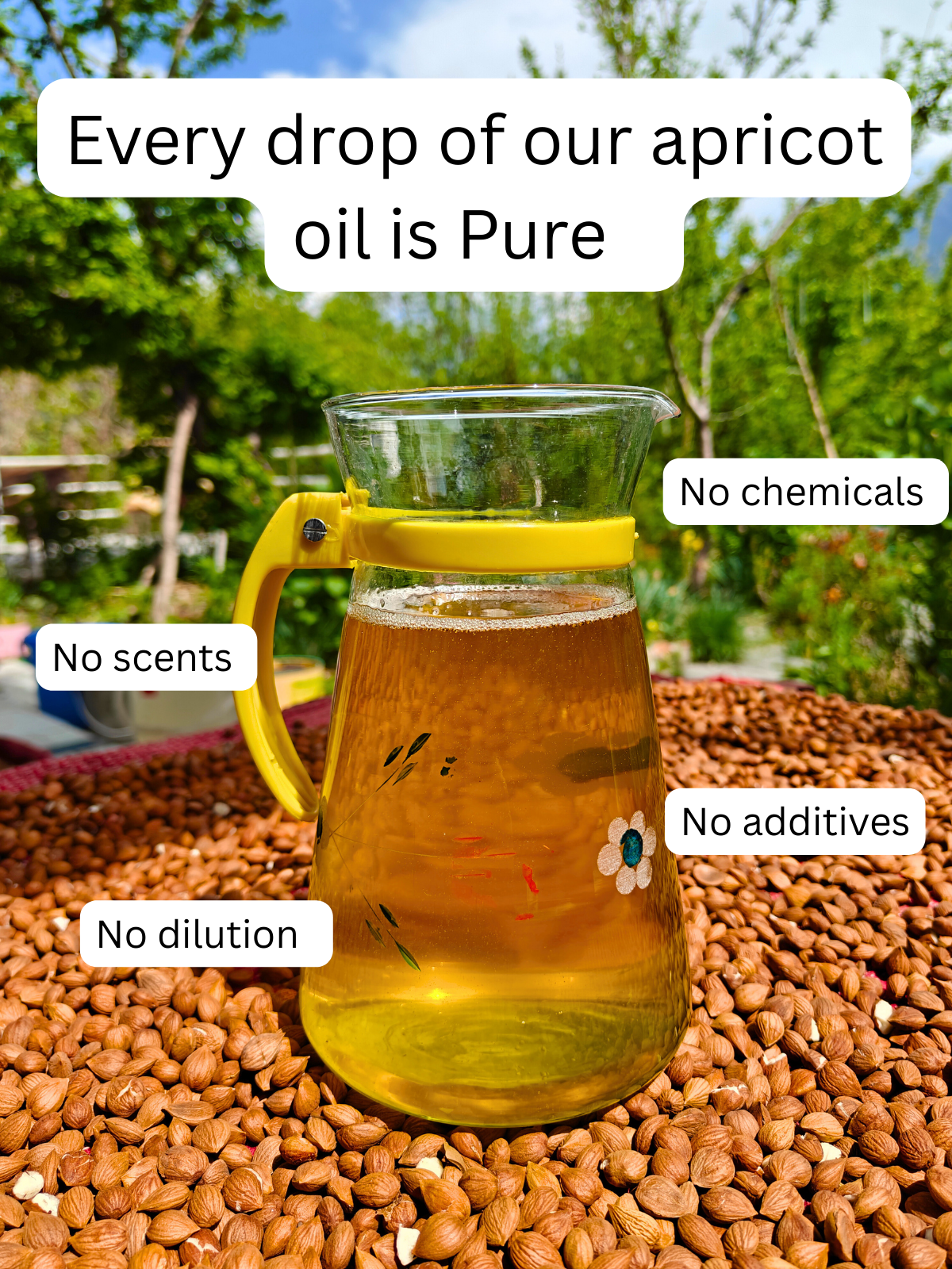 apricot oil purity 