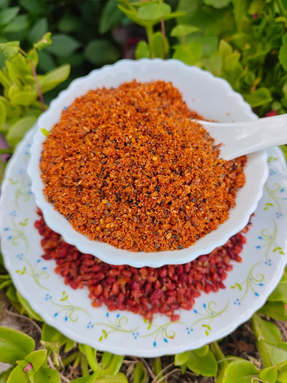 dried sea buckthorn berries