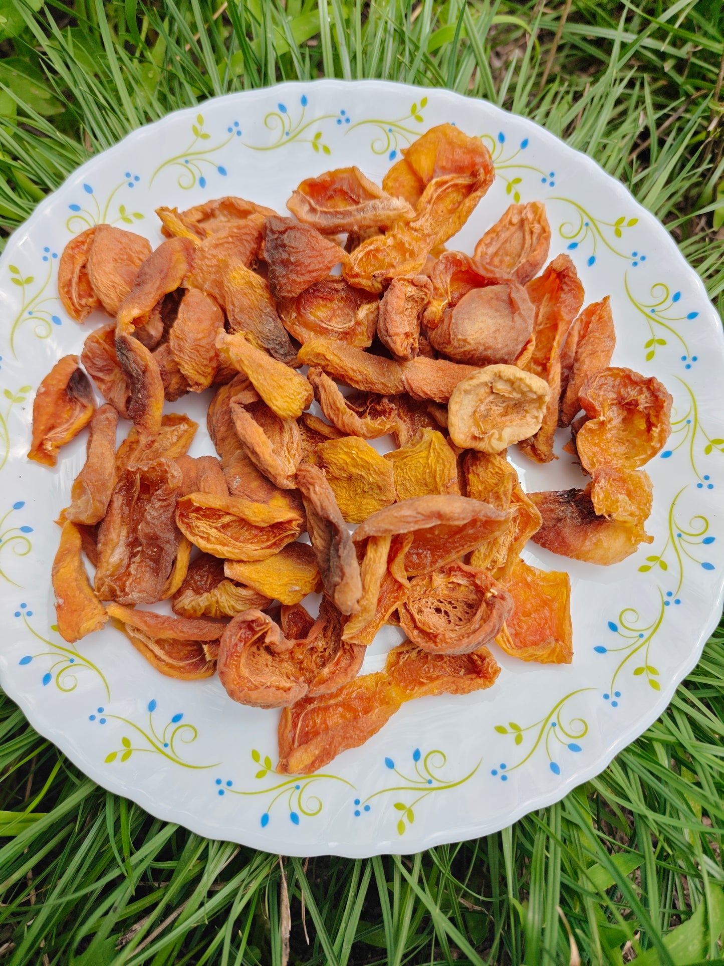 seedless dried apricots