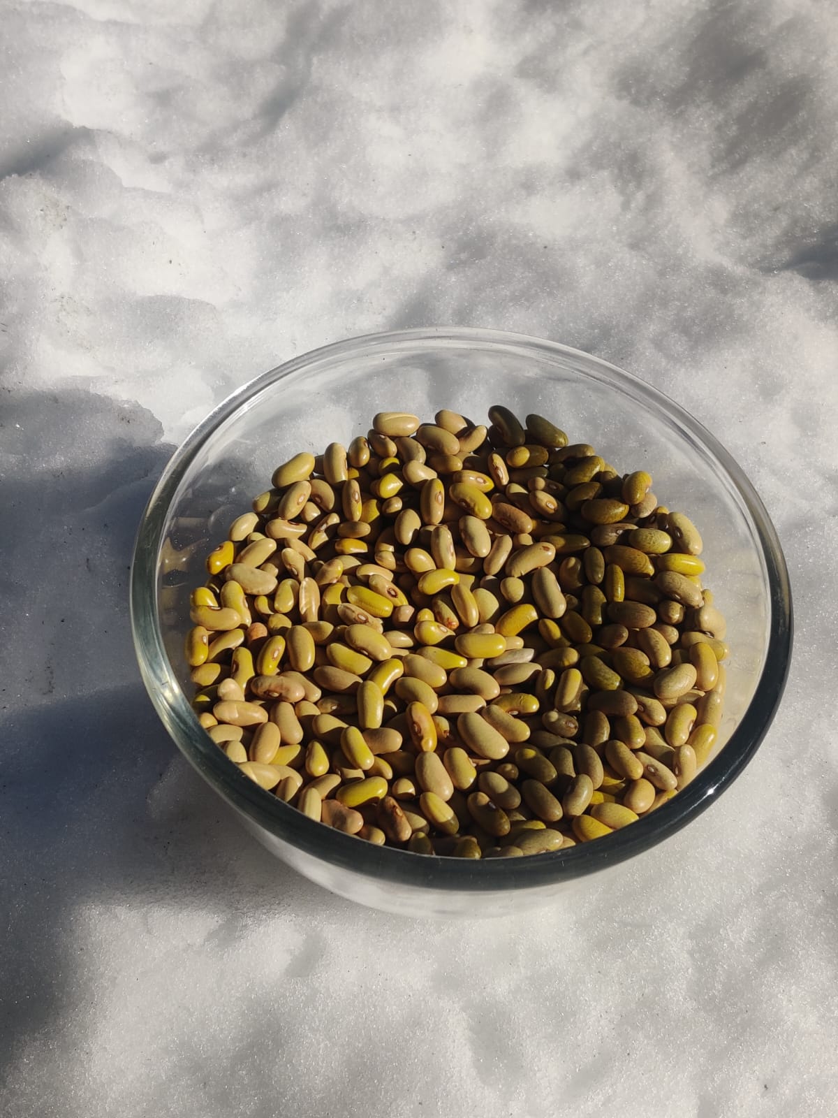 kinnaur yellow rajma